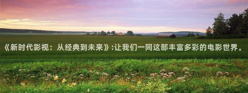 西瓜机