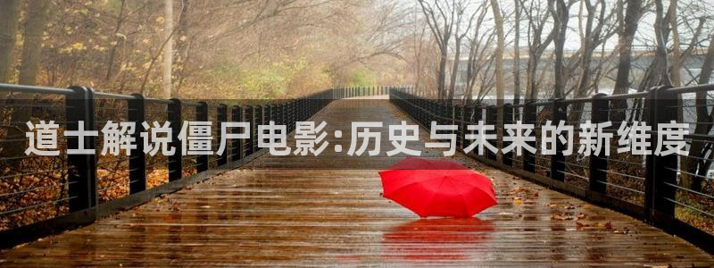 2021年的电视剧天狼影视西瓜