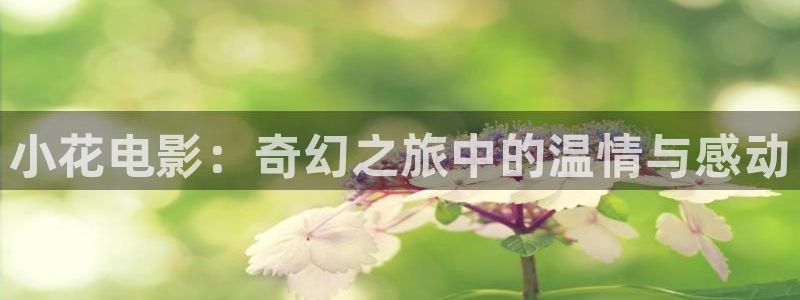 暖春电影免费观看西瓜