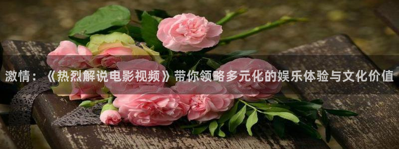 我们一起摇太阳西瓜免费观看