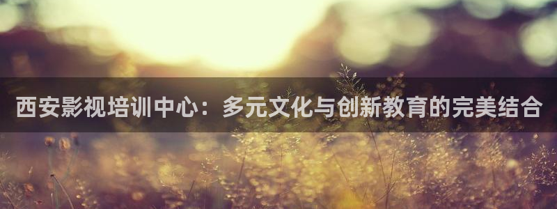 暗格里的秘密西瓜免费观看