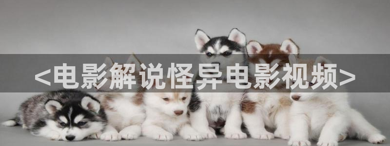 我凭本事单身免费观看完整版西瓜