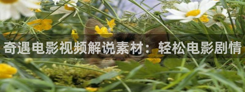 免费安装西瓜视频