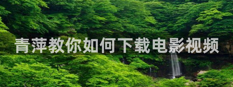 义者无敌西瓜免费版电视剧