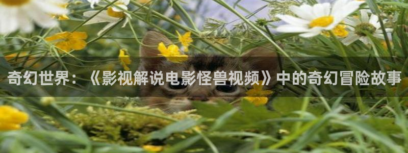 西瓜许昌