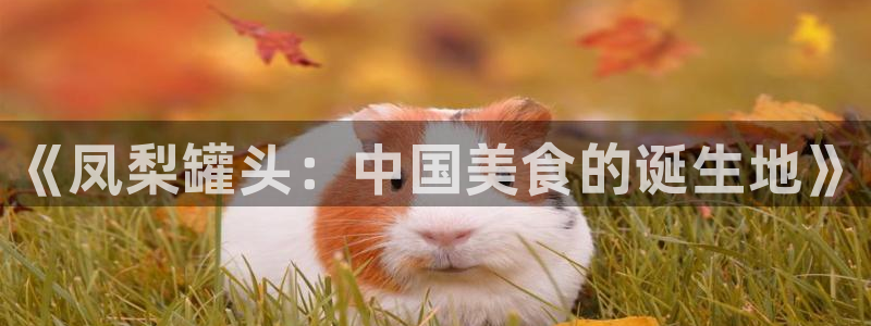 遮天动漫在线观看西瓜