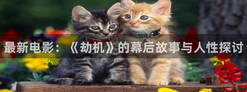 西瓜影院朴妮唛