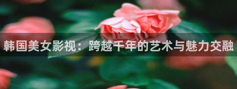 西瓜视频免费版