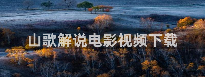 西瓜视频!