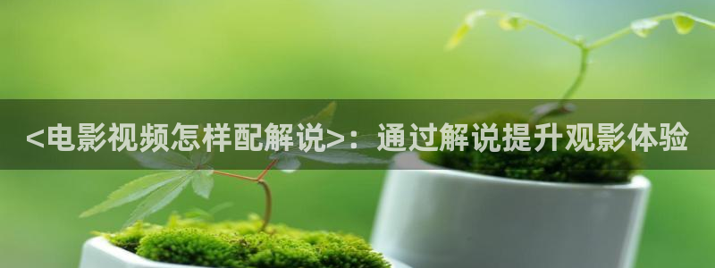 西瓜影院免费观看电视剧高清大全