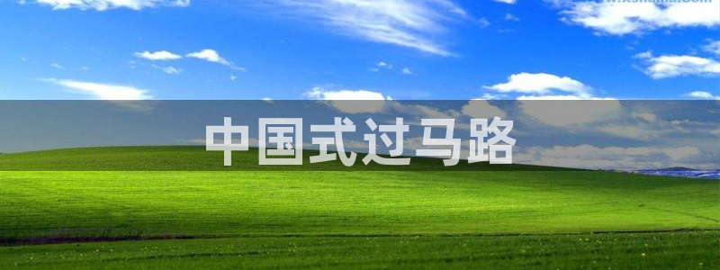 西瓜视频在线播放