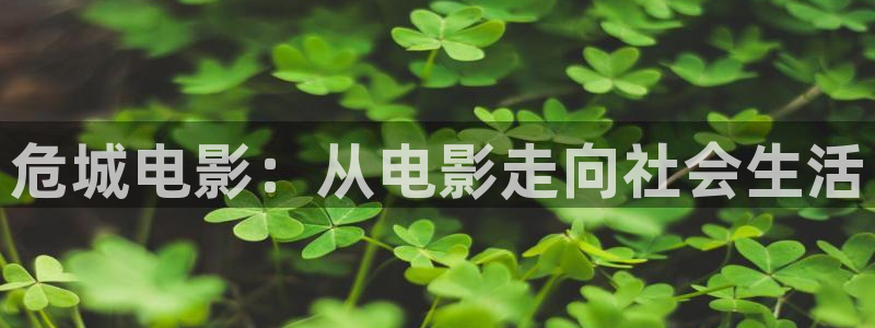 西瓜免费观看电影