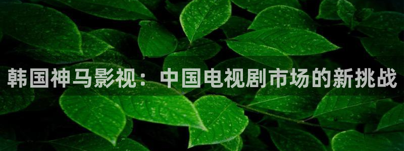 西瓜电影免费看