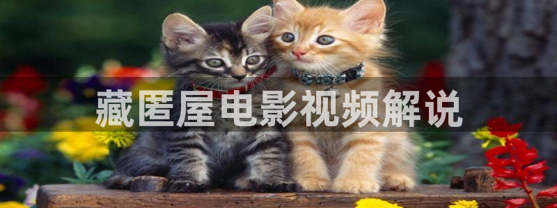 琅琊榜西瓜免费观看