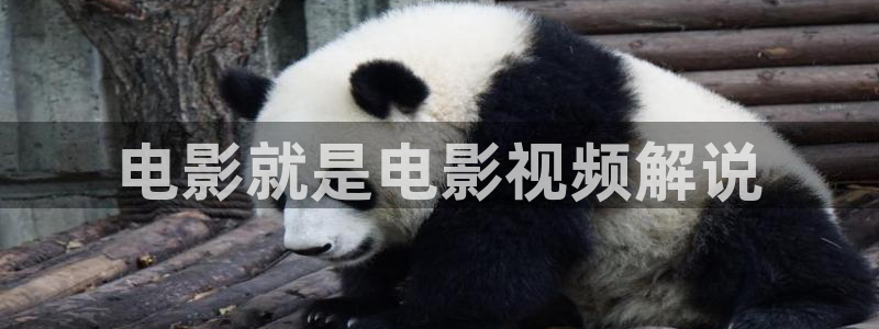 妈妈的朋友 西瓜影院