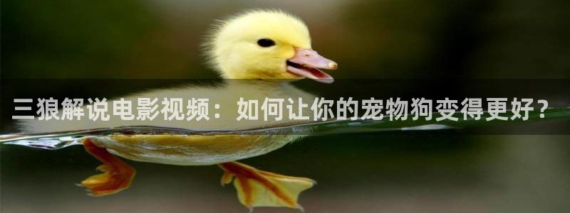 反转人生西瓜影院