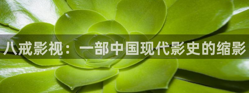 西瓜影院在线观看电影