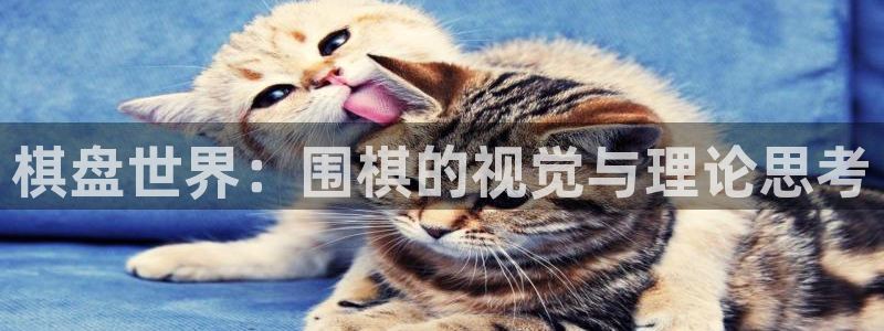 挑西瓜