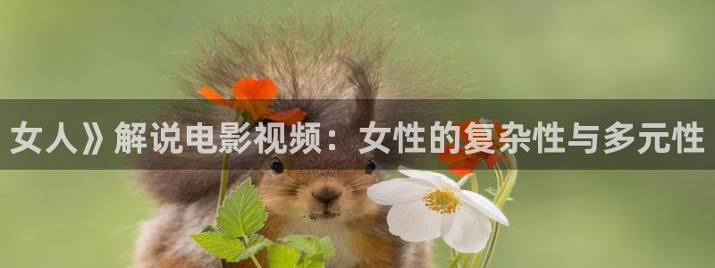 特警力量完整版免费观看西瓜