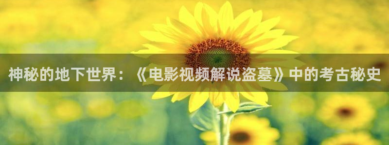 西瓜视频看片