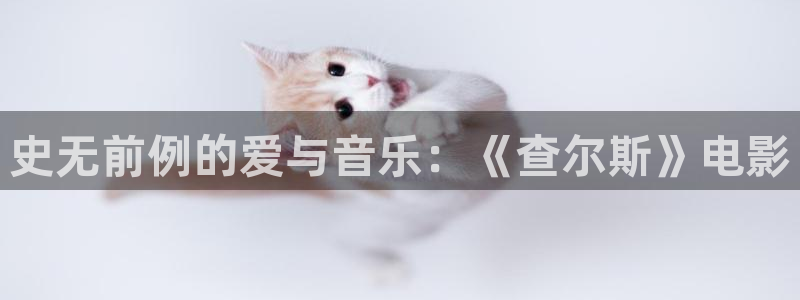 暖春电影免费观看西瓜