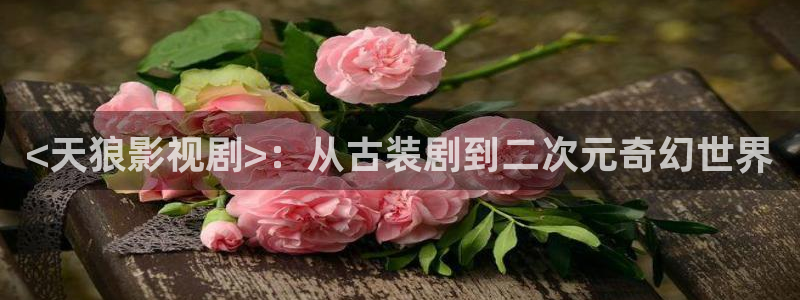 西瓜视频免费在线观看