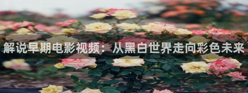新疆的西瓜